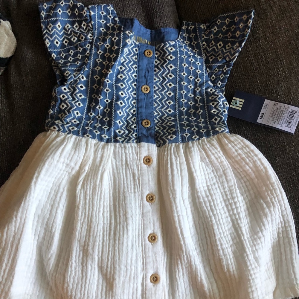 Oshkosh dress